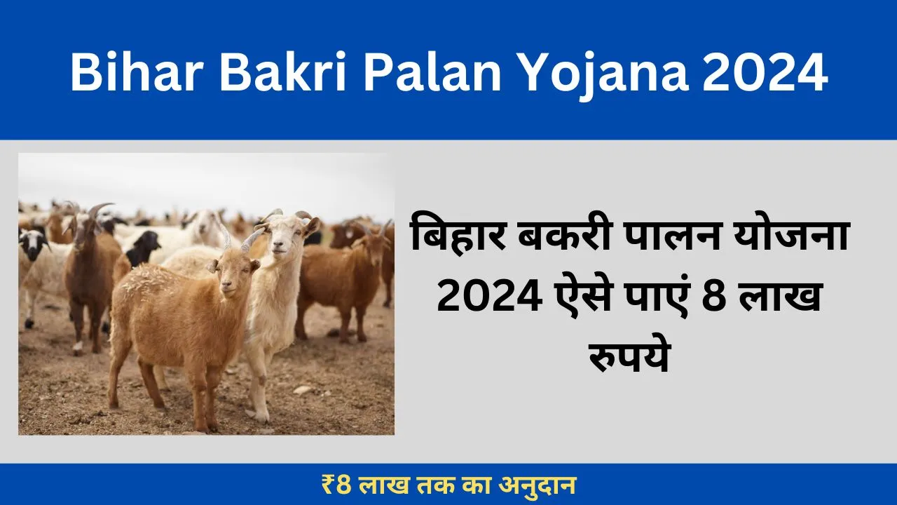 Bihar Bakri Palan Yojana 2024 से ₹8 लाख रूपये ऐसे पाये